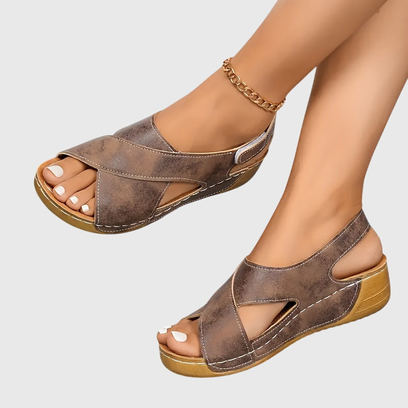 Terra Marron / 12 US | 43 EU