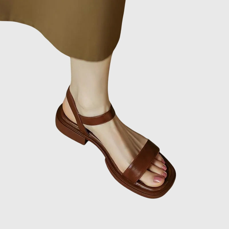 Marron / 10 US | 41 EU