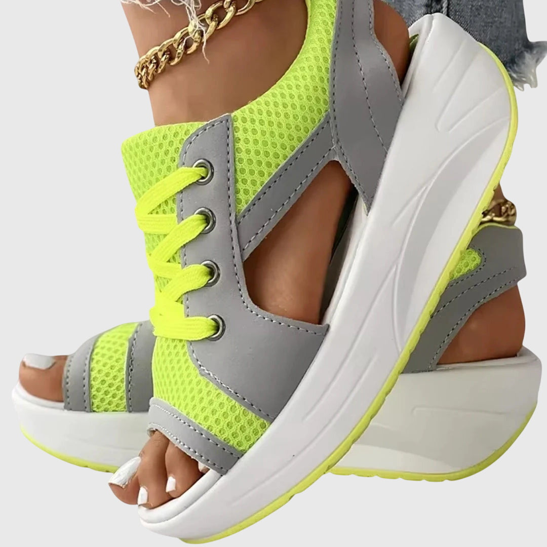 Vert / 12 US | 43 EU