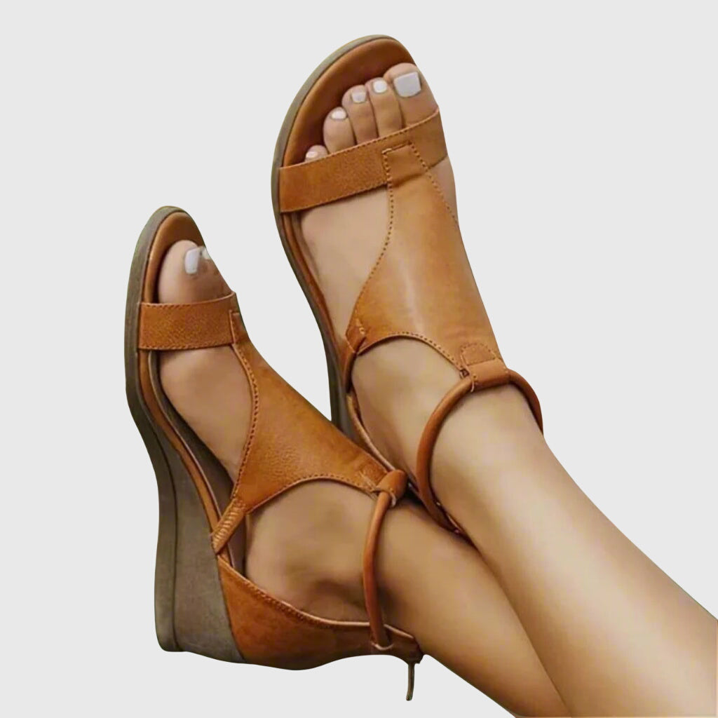 Marron / 12 US | 43 EU