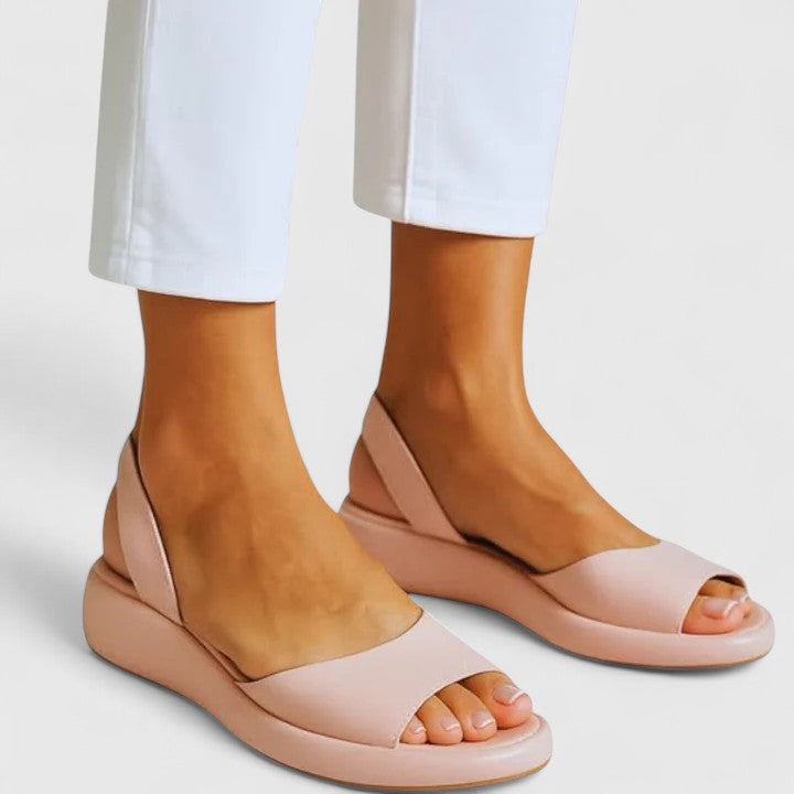 Rose / 12 US | 43 EU