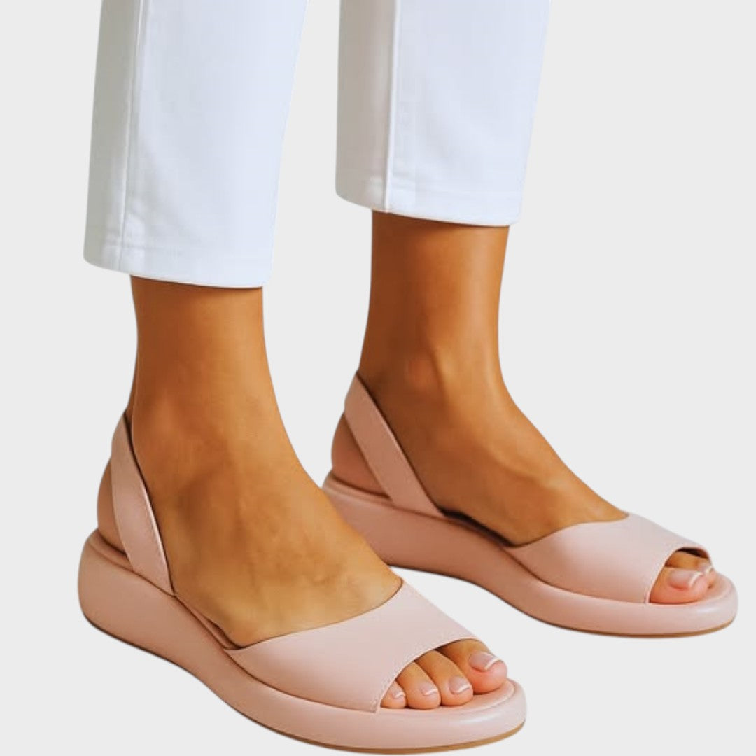 Rose / 12 US | 43 EU