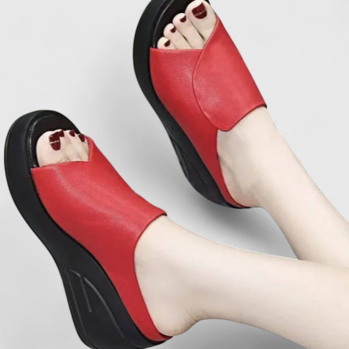 Rouge / 11 US | 42 EU