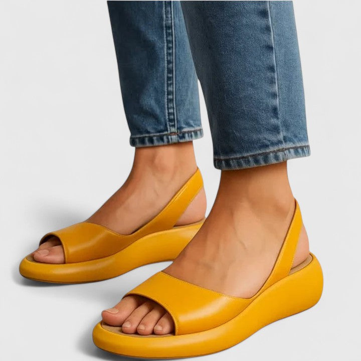 Jaune / 12 US | 43 EU