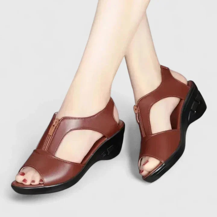 Rouge Wine / 11 US | 42 EU