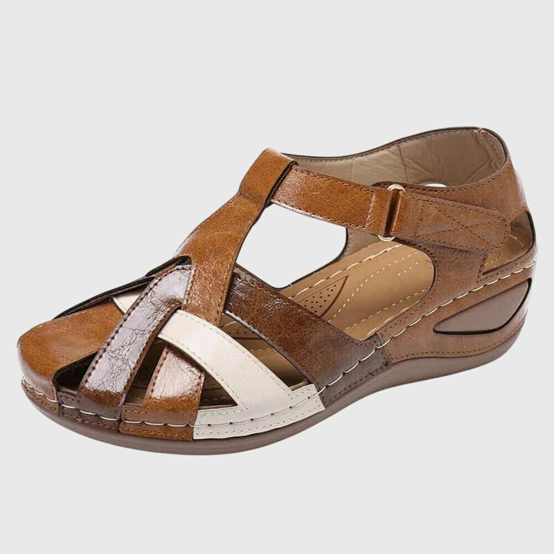 Marron / 12 US | 43 EU