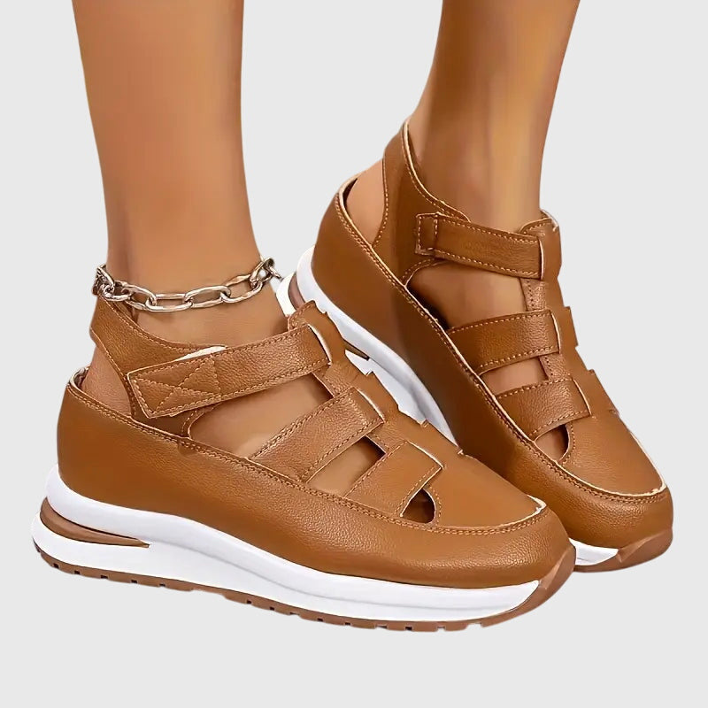 Marron / 11 US | 42 EU