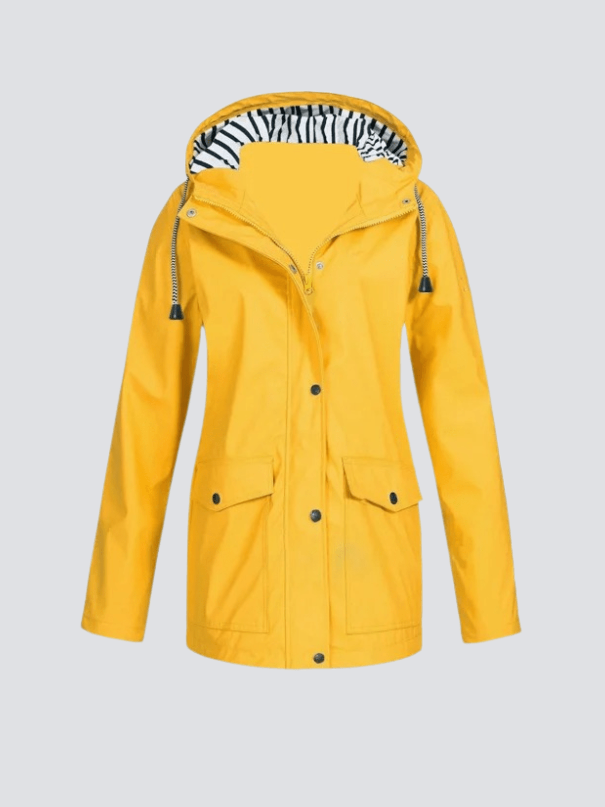 Jaune / 5XL
