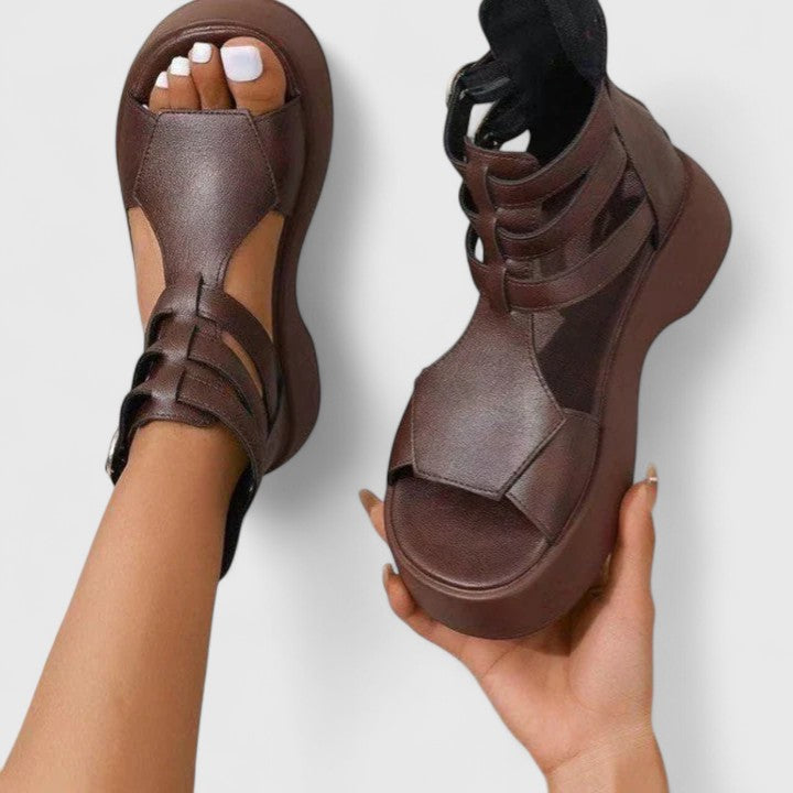 Marron / 12 US | 43 EU